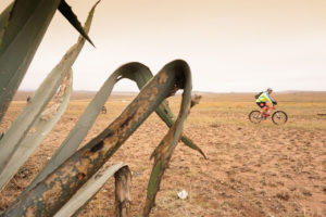 detour-trails-tours-bike-battle-bike-bush-adventure-south-africa